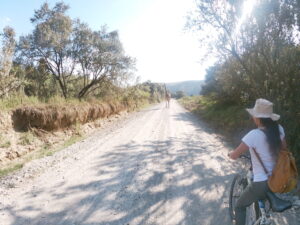 Safari en bicicleta en Hell´s gate