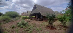 Alojamiento en Amboseli