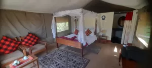 Habitación tent camp