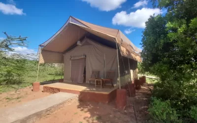 Alojamientos Safaris Kenia