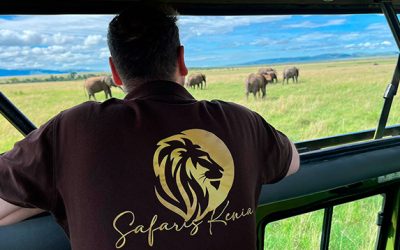Agencias locales en Kenia: por qué elegir una agencia especializada para tu safari