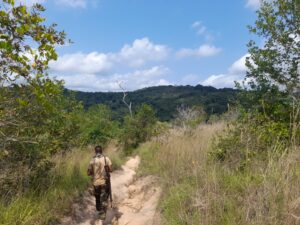 Shimba hills