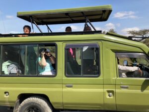 Jeep safari