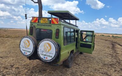 Kenia o Tanzania: ¿Cuál es el mejor safari para viajar a África?